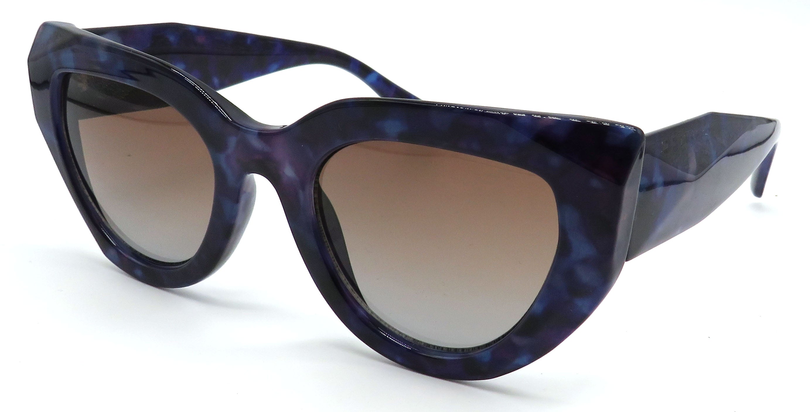 Multicolored Tortoise