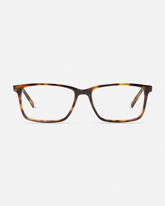 All eyeglasses – Page 6 – MODO Eyewear